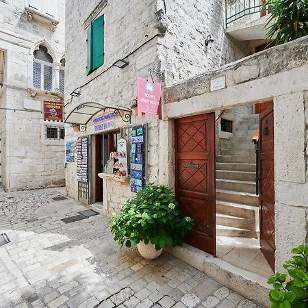 Ivica 3* טרוגיר